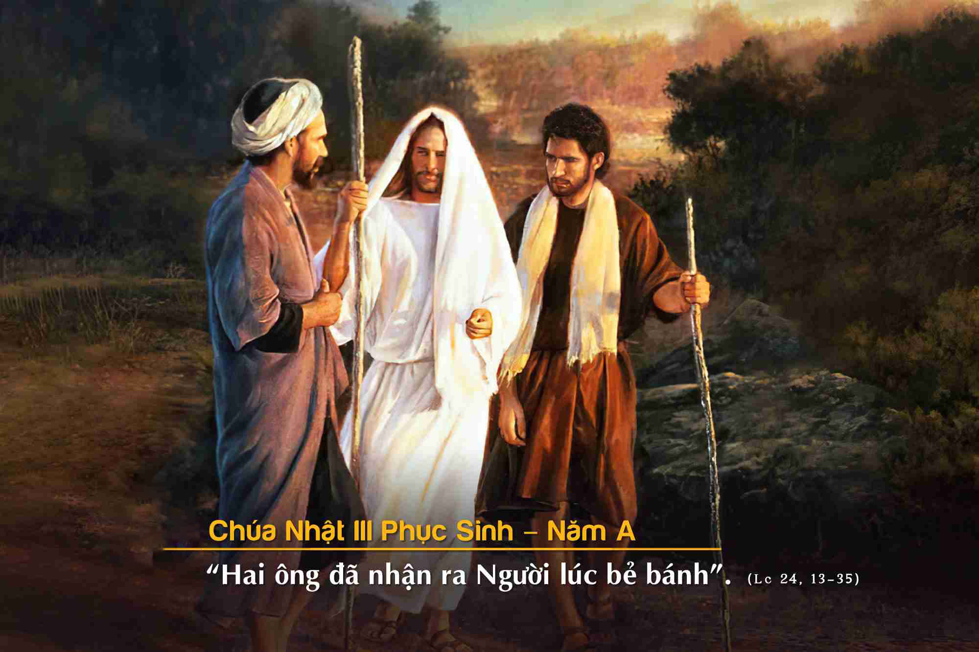 CN III PS A: Cuộc đời : một ẩn số