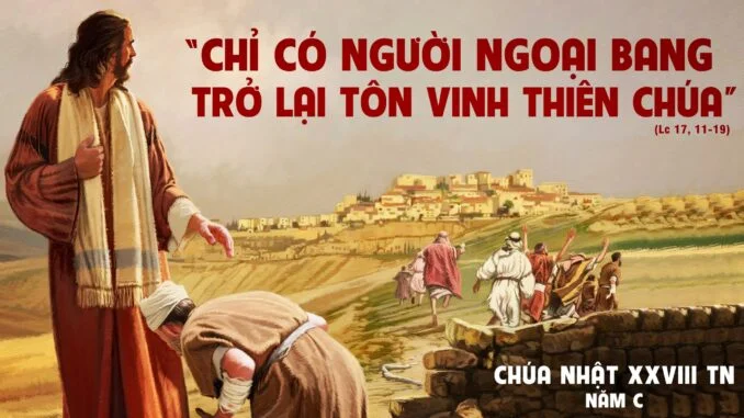 CN XXVIII TNA: Ơn cứu độ phổ quát